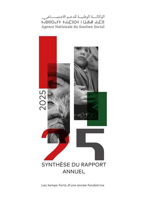 Synthèse du rapport annuel vignette